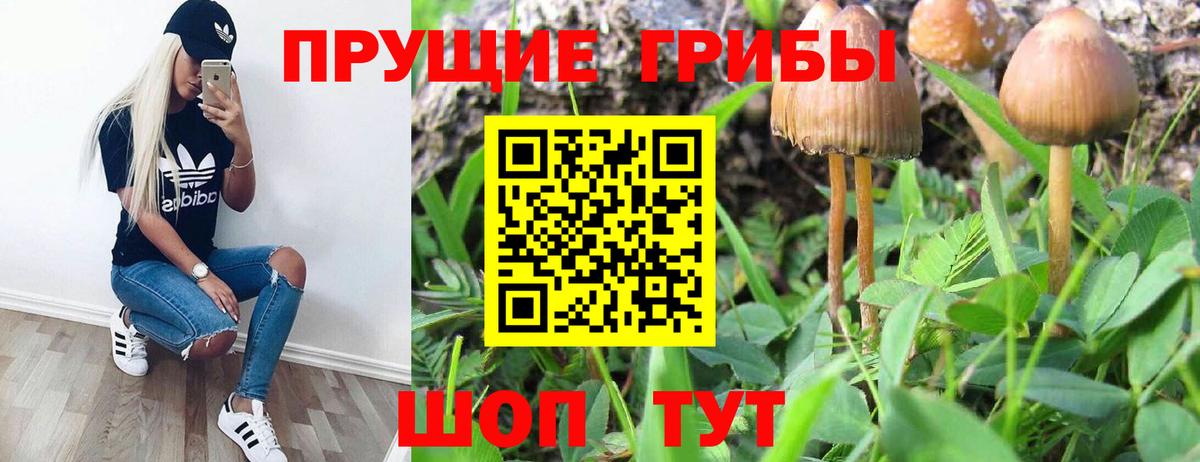 БУТИРАТ Елец
