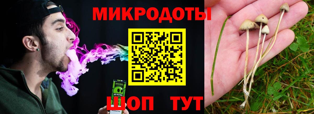 Галлюциногенные грибы ЛСД  Псилоцибиновые грибы Cubensis  Елец  Вход с VPN 