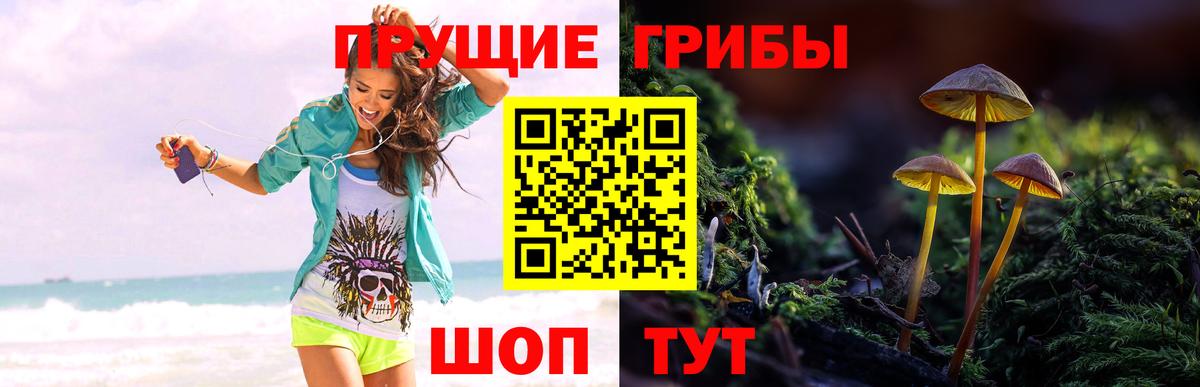 Галлюциногенные грибы MAGIC MUSHROOMS Елец